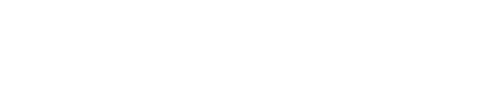 Selvita logo fulle size on a dark background (transparent PNG)