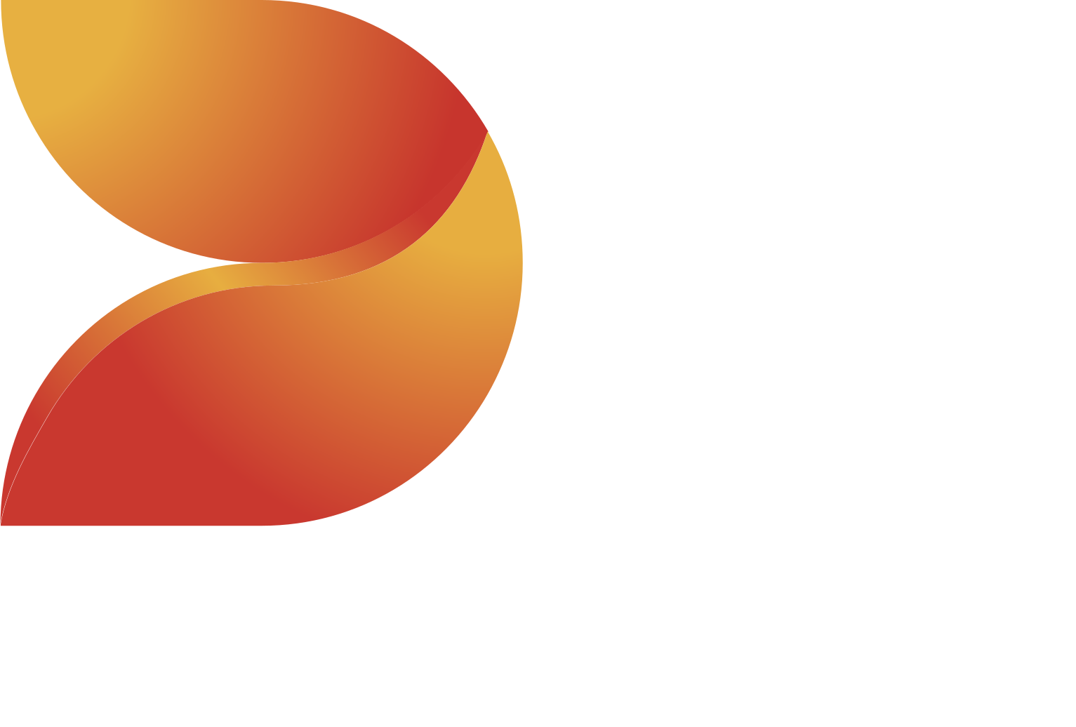 DS Smith logo grand pour les fonds sombres (PNG transparent)