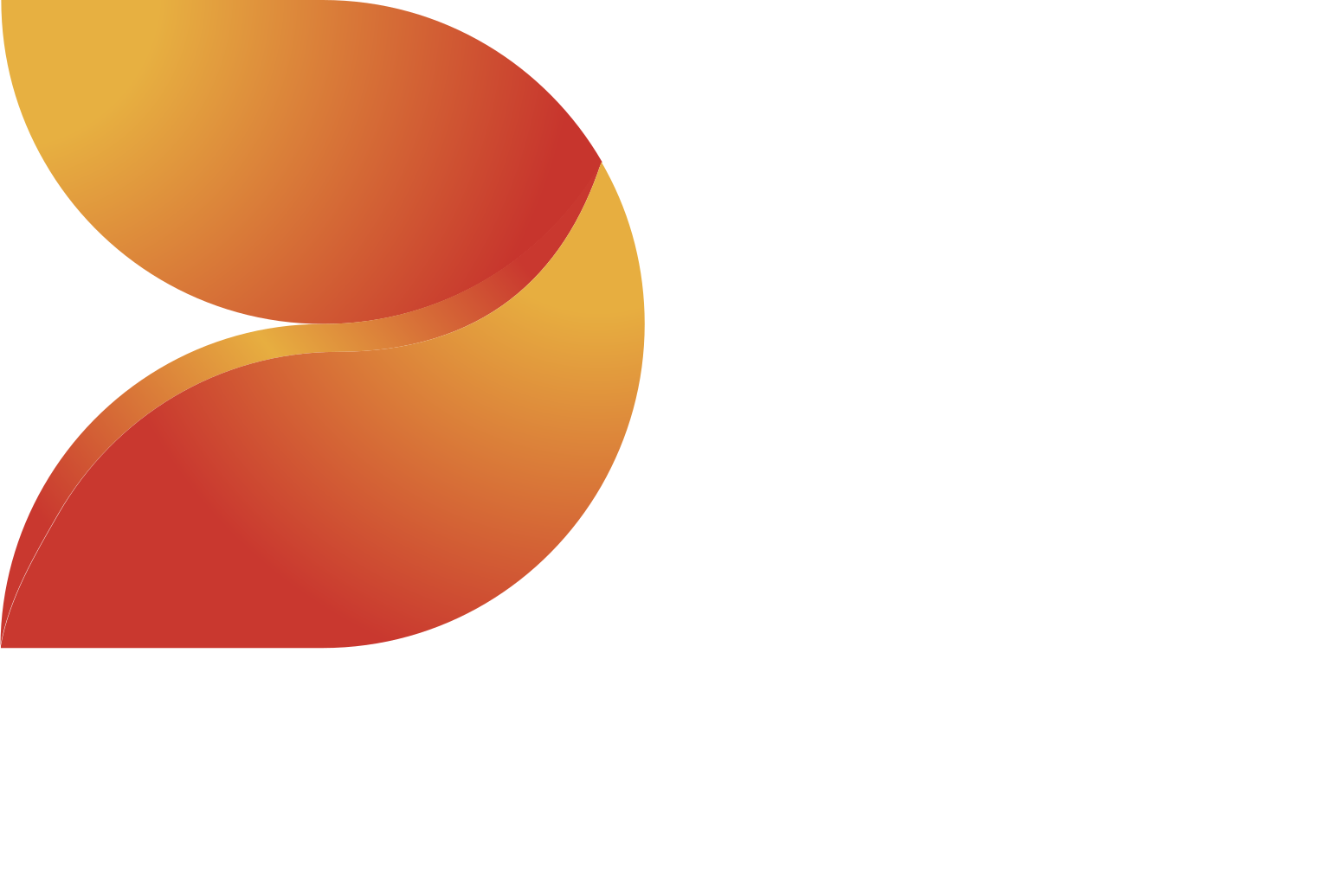 DS Smith logo fulle size on a dark background (transparent PNG)