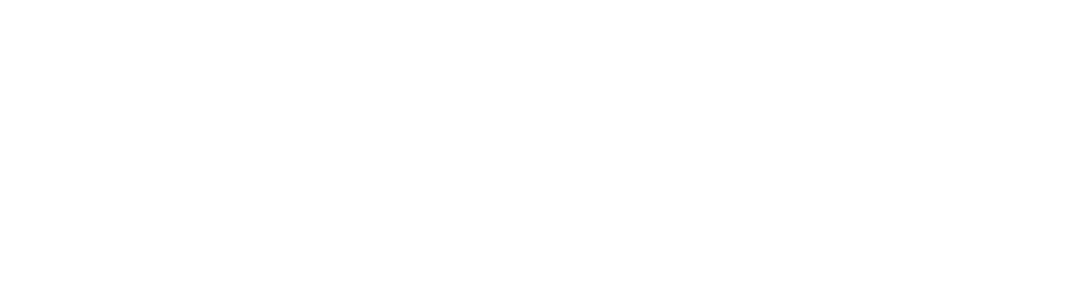 SMN Power Company logo large for dark backgrounds (transparent PNG)