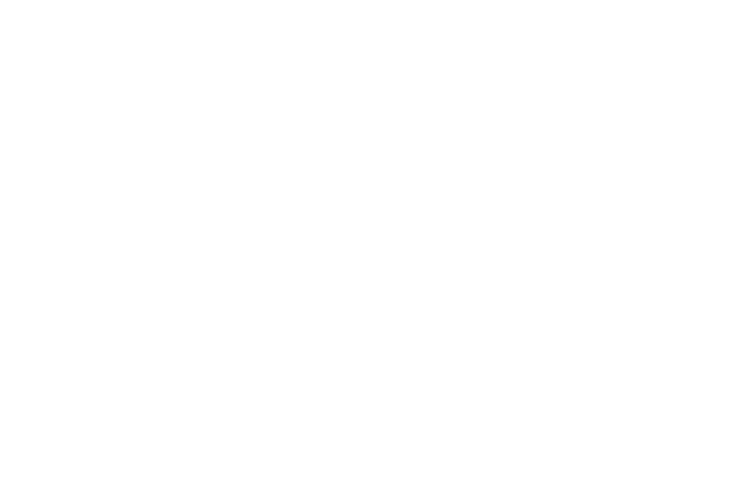 SM Wirtschaftsberatungs AG Logo groß für dunkle Hintergründe (transparentes PNG)