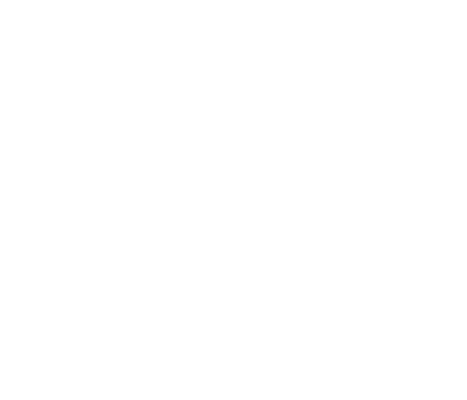 SolarMax Technology logo pour fonds sombres (PNG transparent)