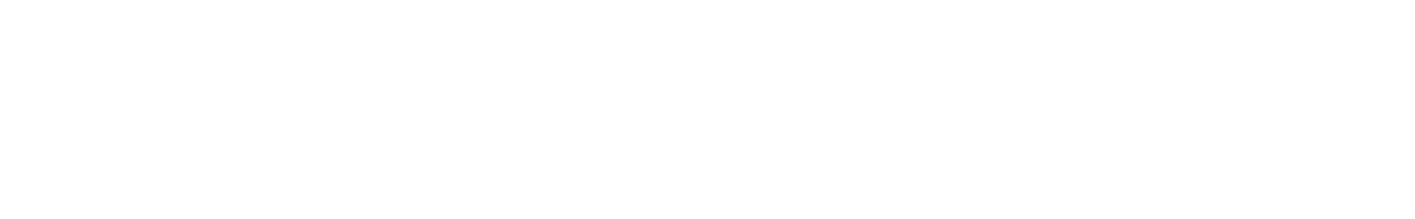 Schweizerische Nationalbank Logo groß für dunkle Hintergründe (transparentes PNG)