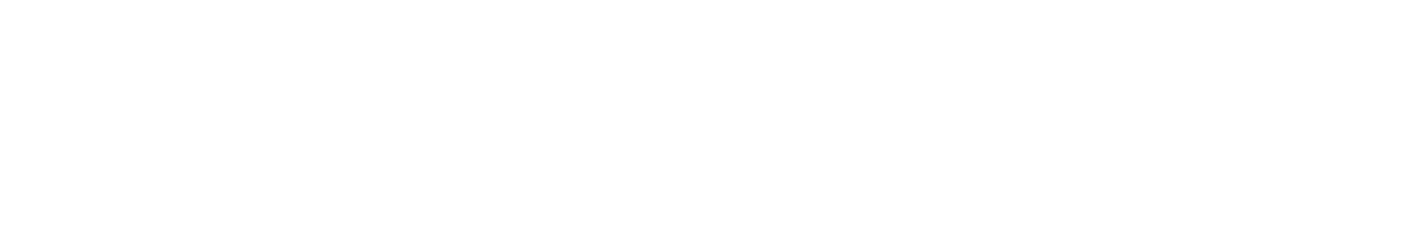 Sleep Number logo large for dark backgrounds (transparent PNG)