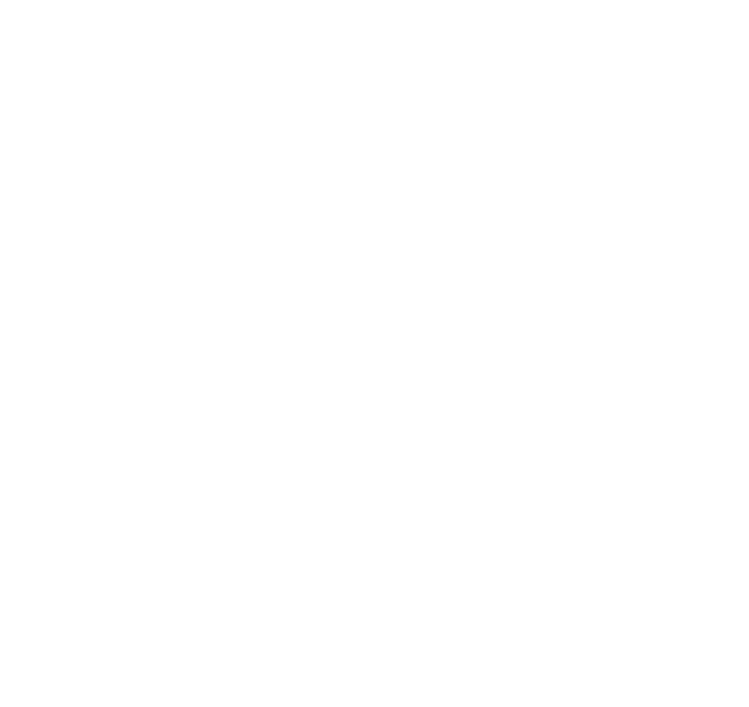 StoneX Group Logo für dunkle Hintergründe (transparentes PNG)