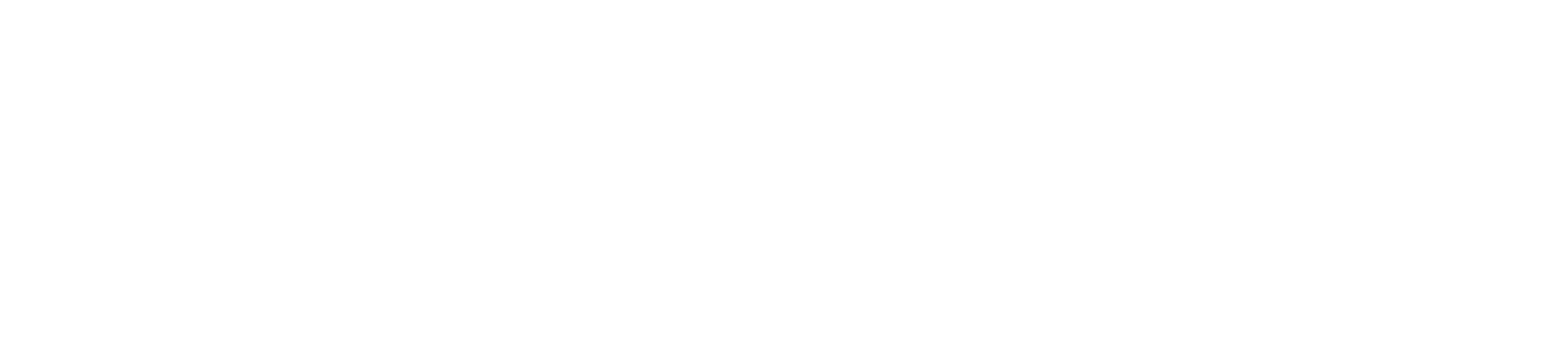 StoneX Group logo grand pour les fonds sombres (PNG transparent)