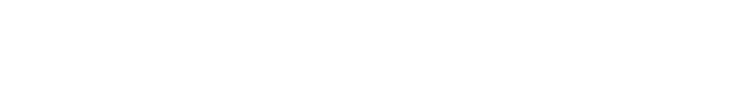 Smith & Nephew
 logo grand pour les fonds sombres (PNG transparent)