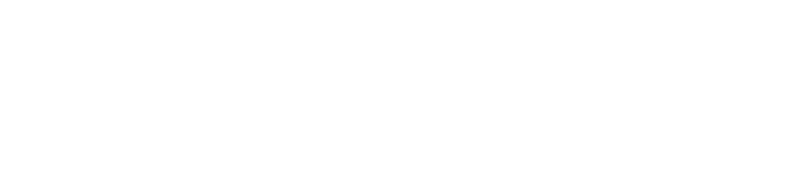 Synopsys logo large for dark backgrounds (transparent PNG)