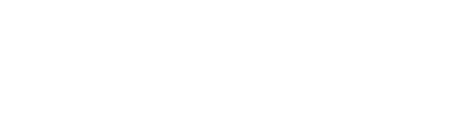 Synektik Spólka Akcyjna logo grand pour les fonds sombres (PNG transparent)