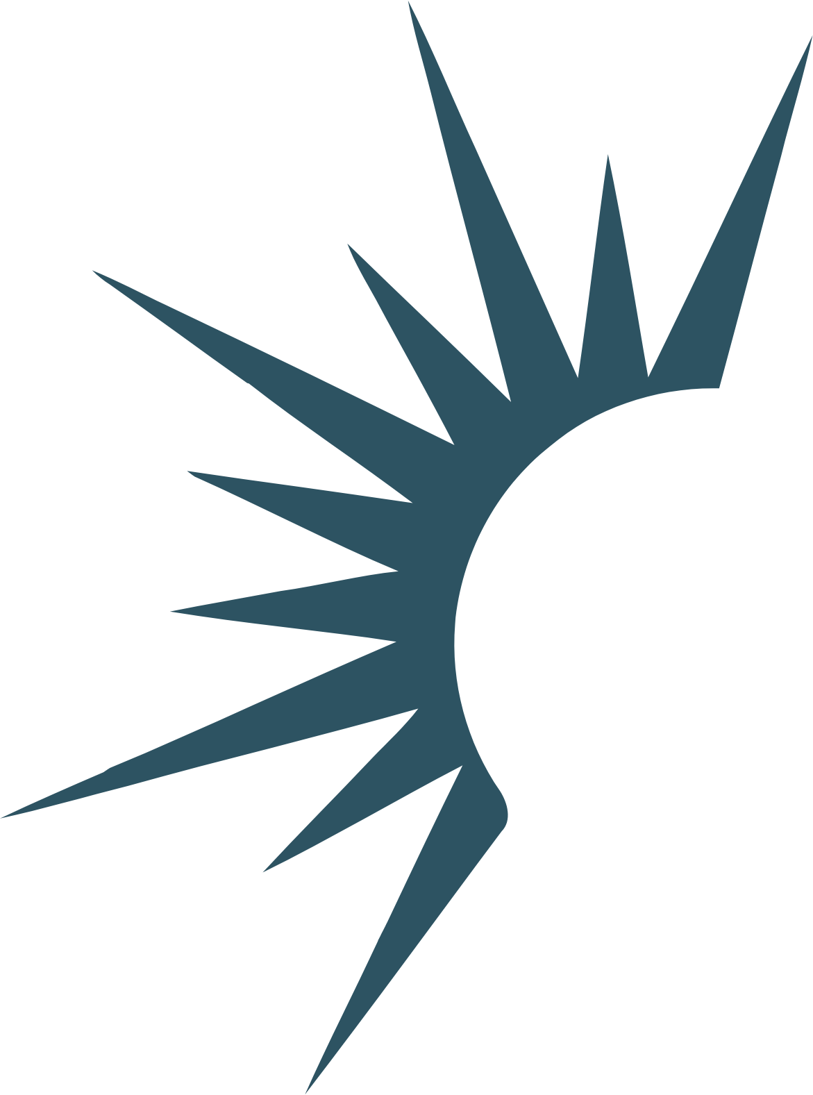 Solaris Oilfield Infrastructure logo (transparent PNG)