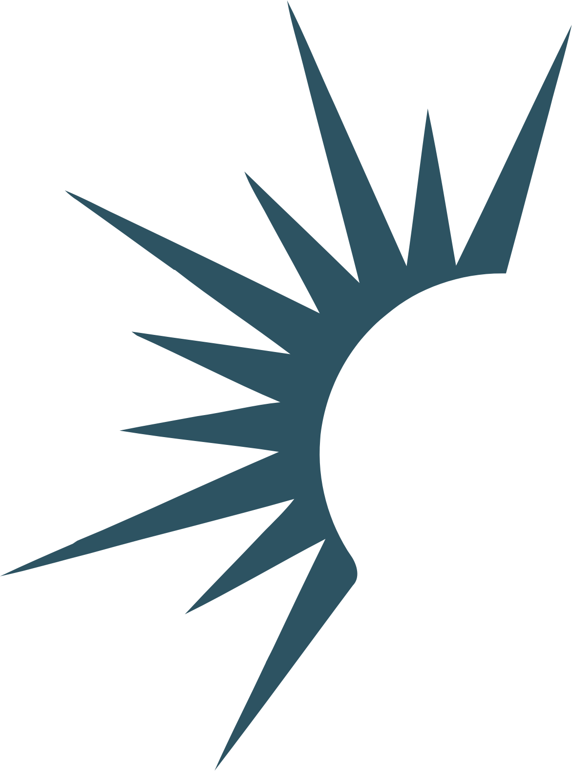 Solaris Oilfield Infrastructure logo (PNG transparent)