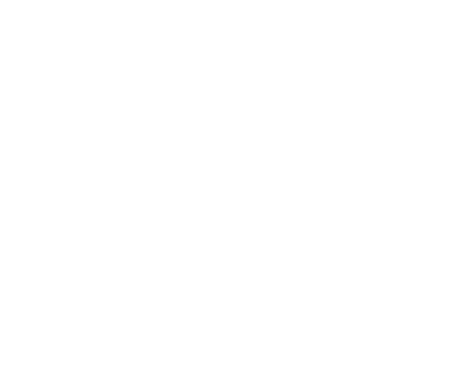 Sonder Holdings Logo für dunkle Hintergründe (transparentes PNG)