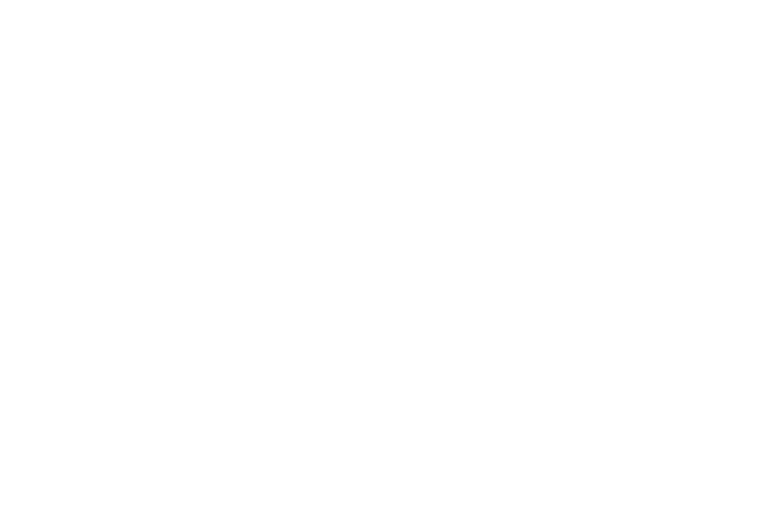 Sonim Technologies
 logo on a dark background (transparent PNG)