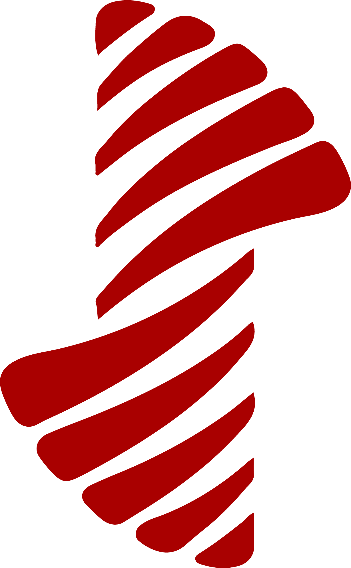 South Indian Bank
 logo (PNG transparent)