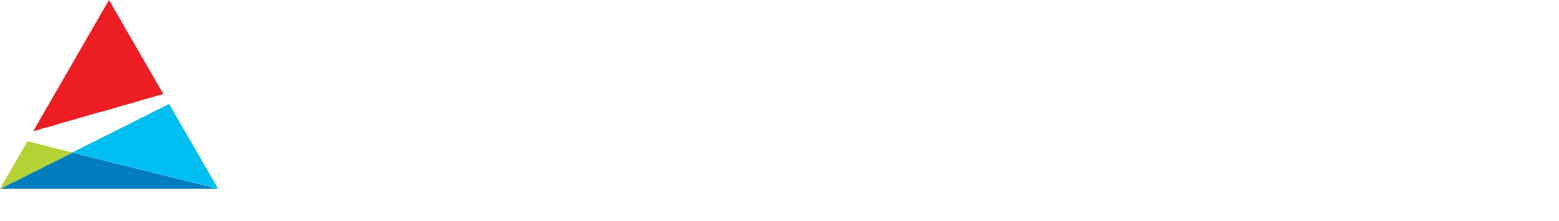 Southern Company logo large for dark backgrounds (transparent PNG)
