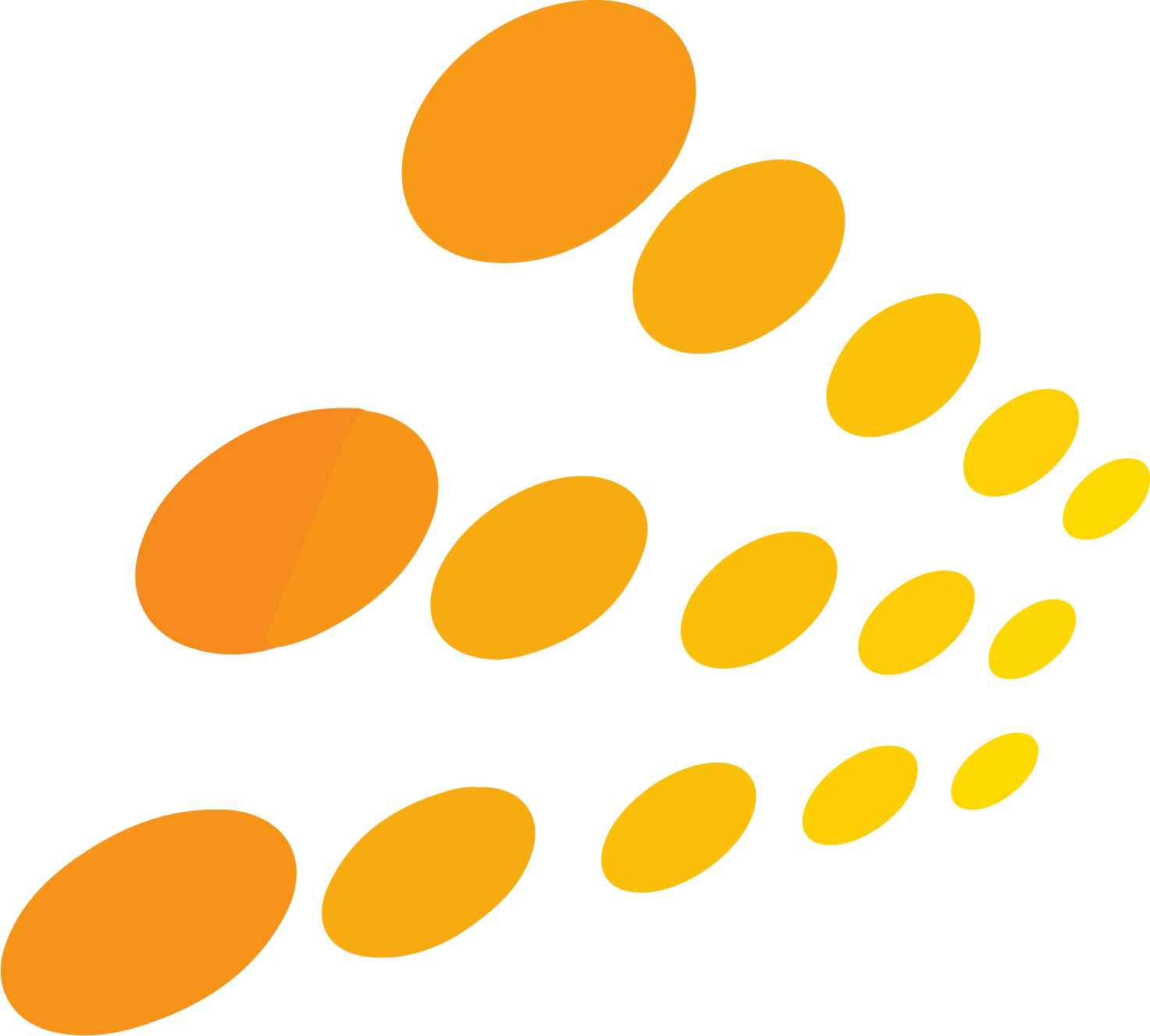 SpiceJet
 logo (transparent PNG)