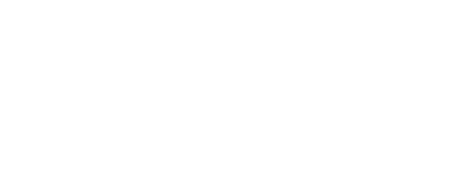 Spark New Zealand
 Logo groß für dunkle Hintergründe (transparentes PNG)