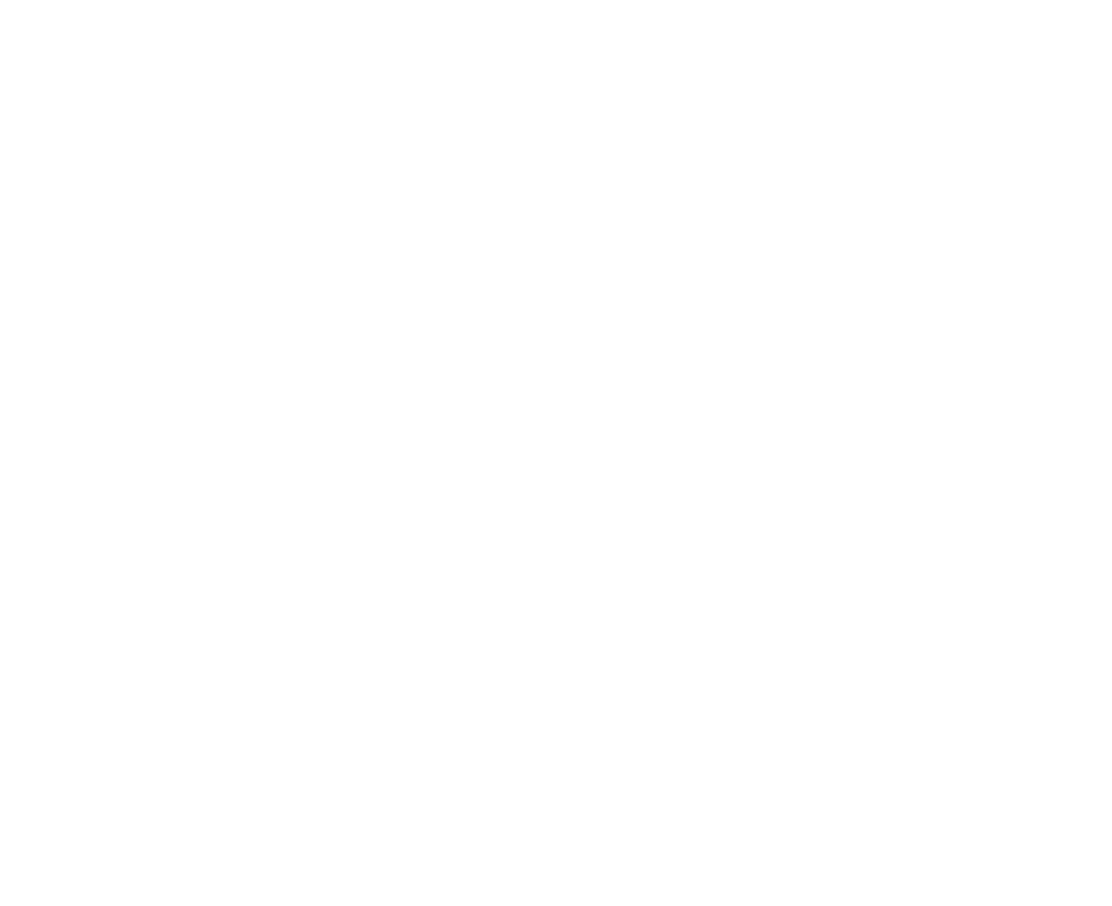 SeaSpine logo for dark backgrounds (transparent PNG)