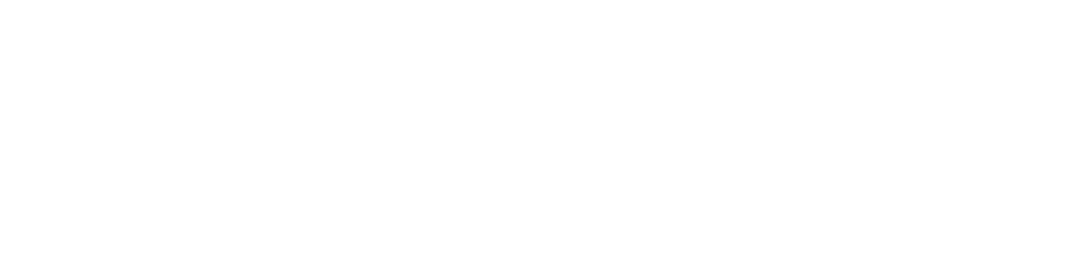 SpartanNash
 logo large for dark backgrounds (transparent PNG)