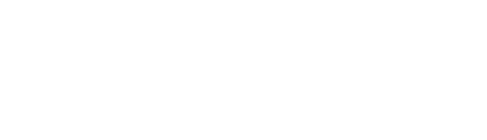 Stelrad Group logo grand pour les fonds sombres (PNG transparent)