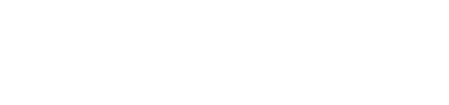 Swiss Re logo large for dark backgrounds (transparent PNG)