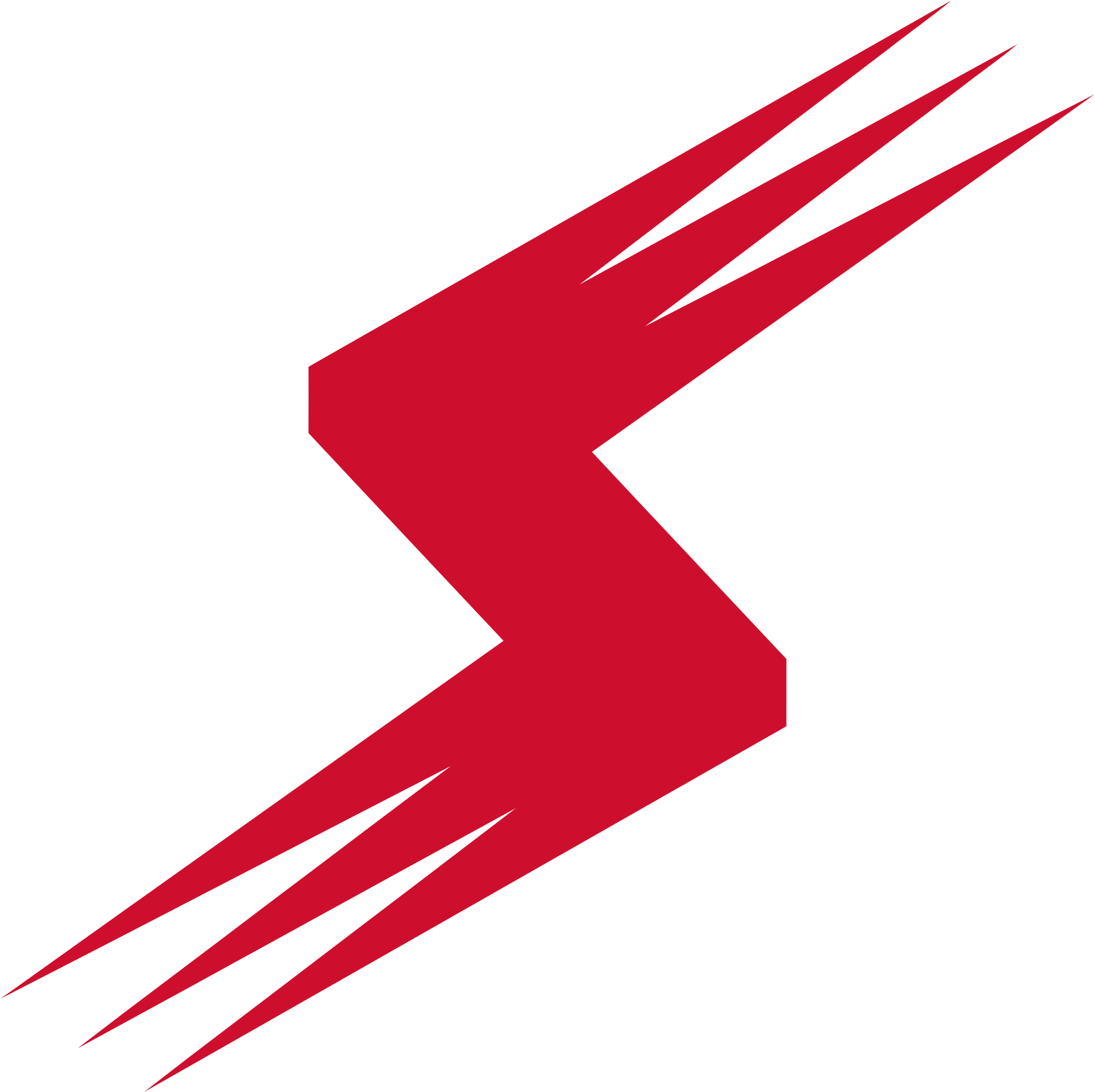 Stoneridge logo (transparent PNG)