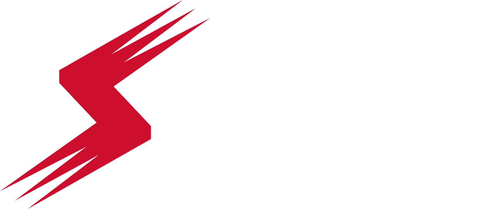 Stoneridge logo large for dark backgrounds (transparent PNG)