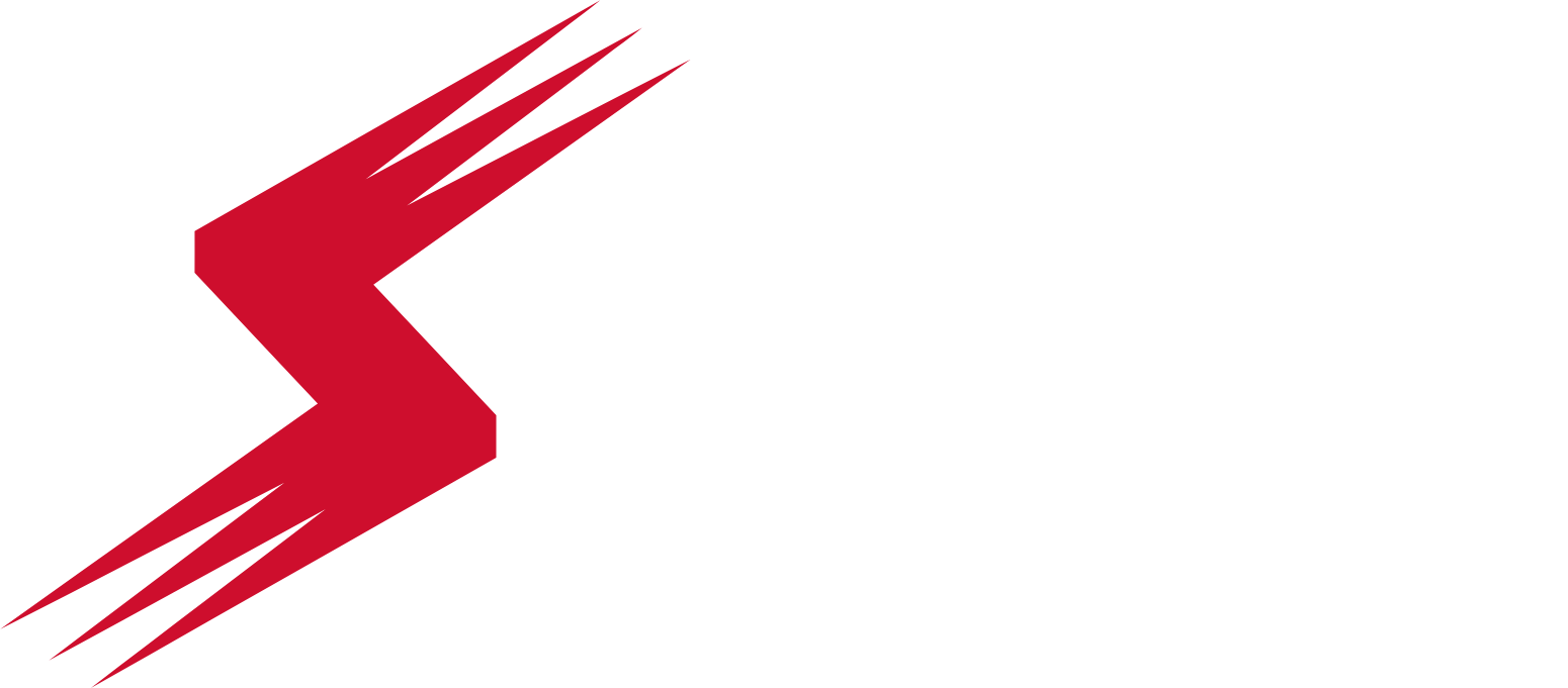 Stoneridge logo fulle size on a dark background (transparent PNG)