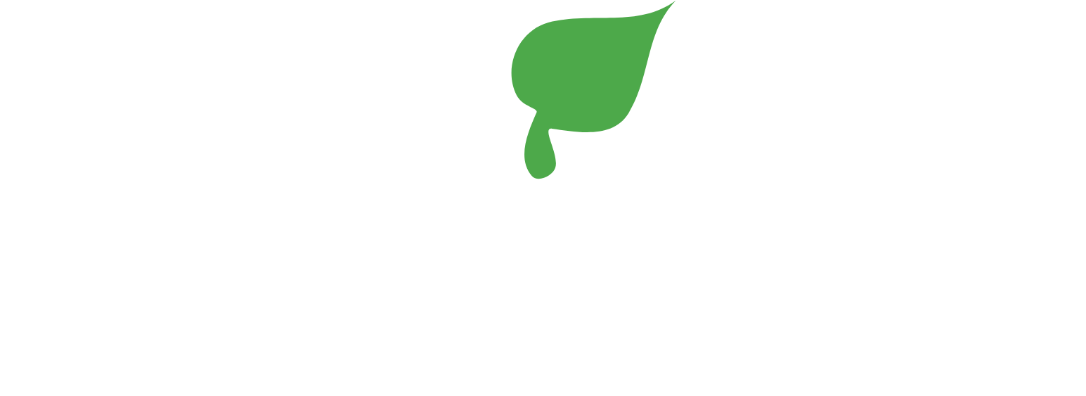 STEICO SE logo grand pour les fonds sombres (PNG transparent)