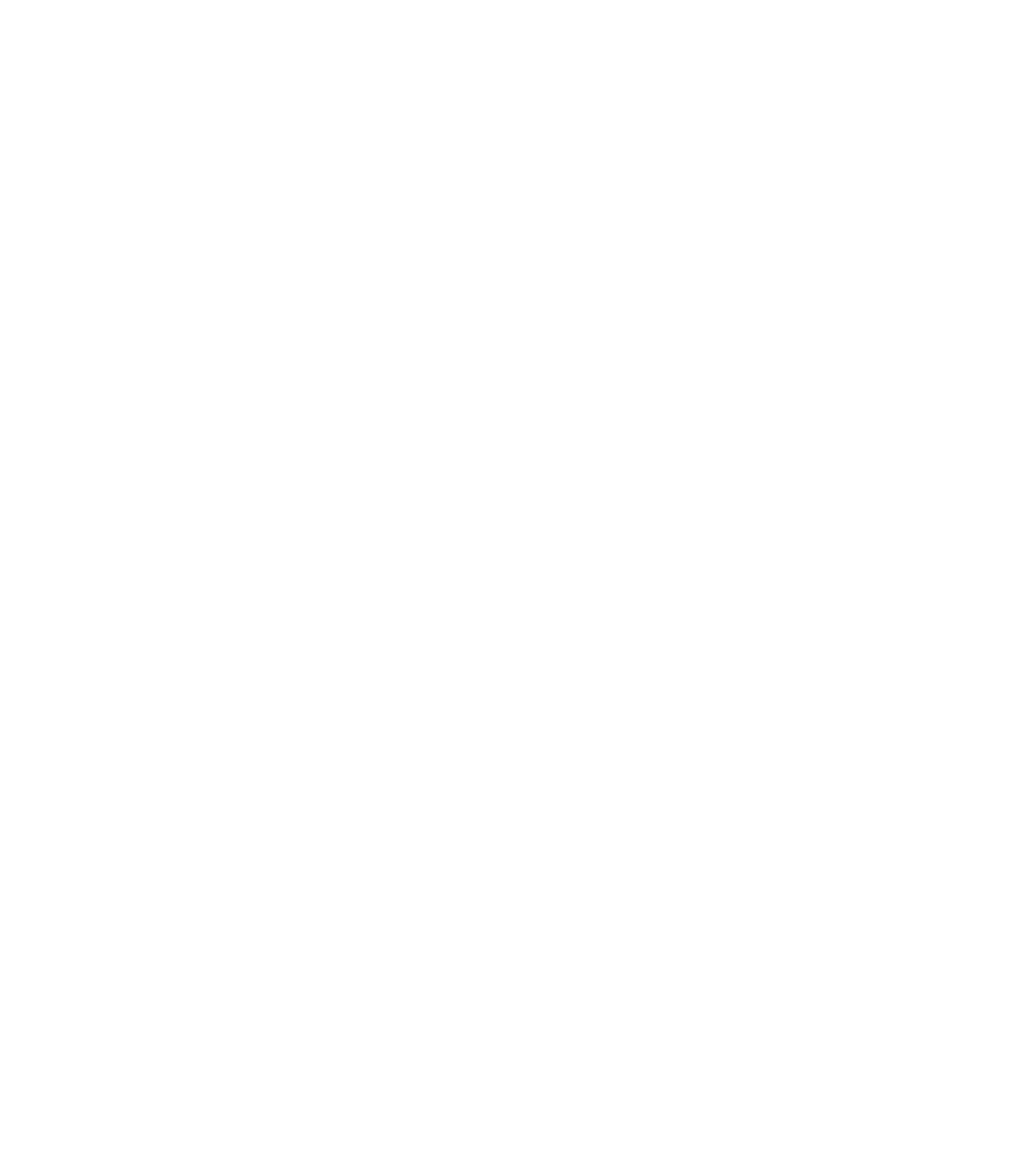 Starbreeze logo large for dark backgrounds (transparent PNG)