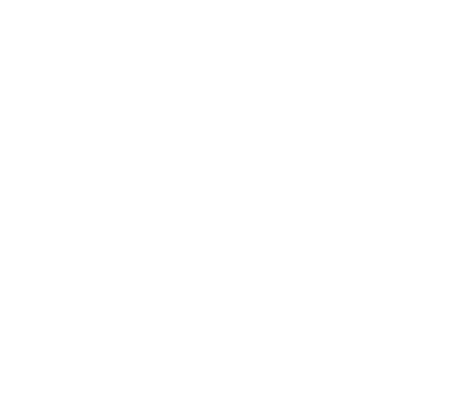 Steris logo for dark backgrounds (transparent PNG)