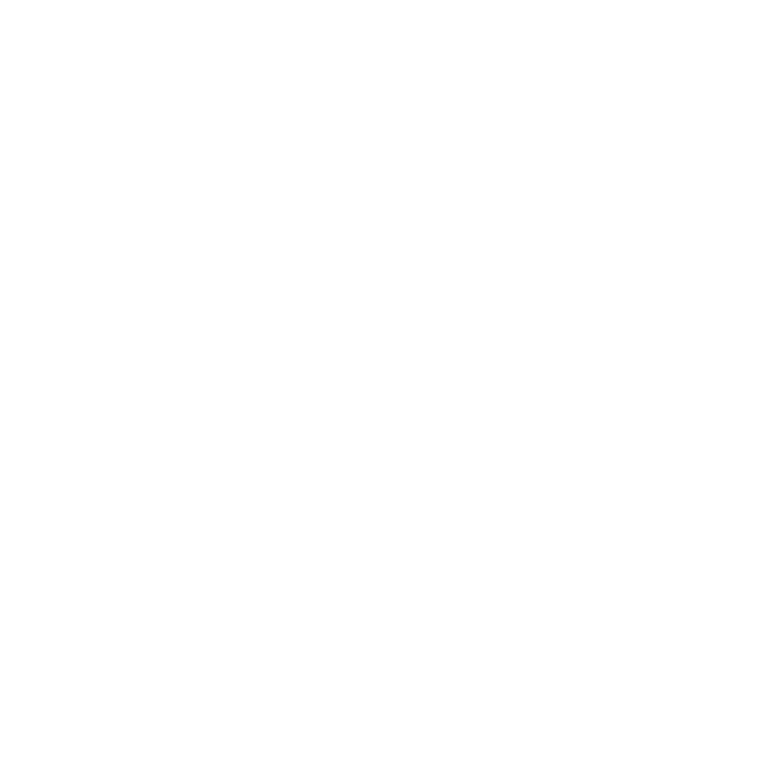 Stora Enso
 logo pour fonds sombres (PNG transparent)