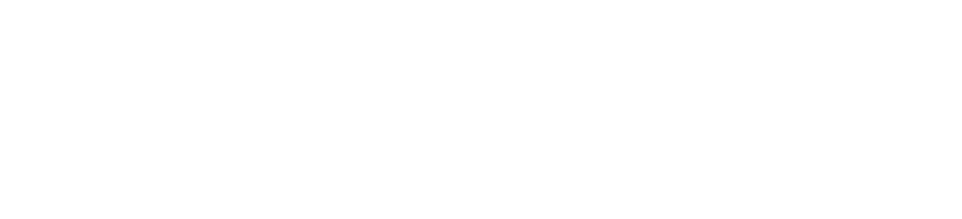 STEF SA logo fulle size on a dark background (transparent PNG)