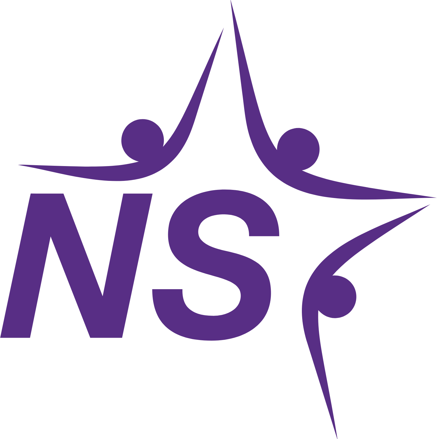 Neuronetics Logo (transparentes PNG)