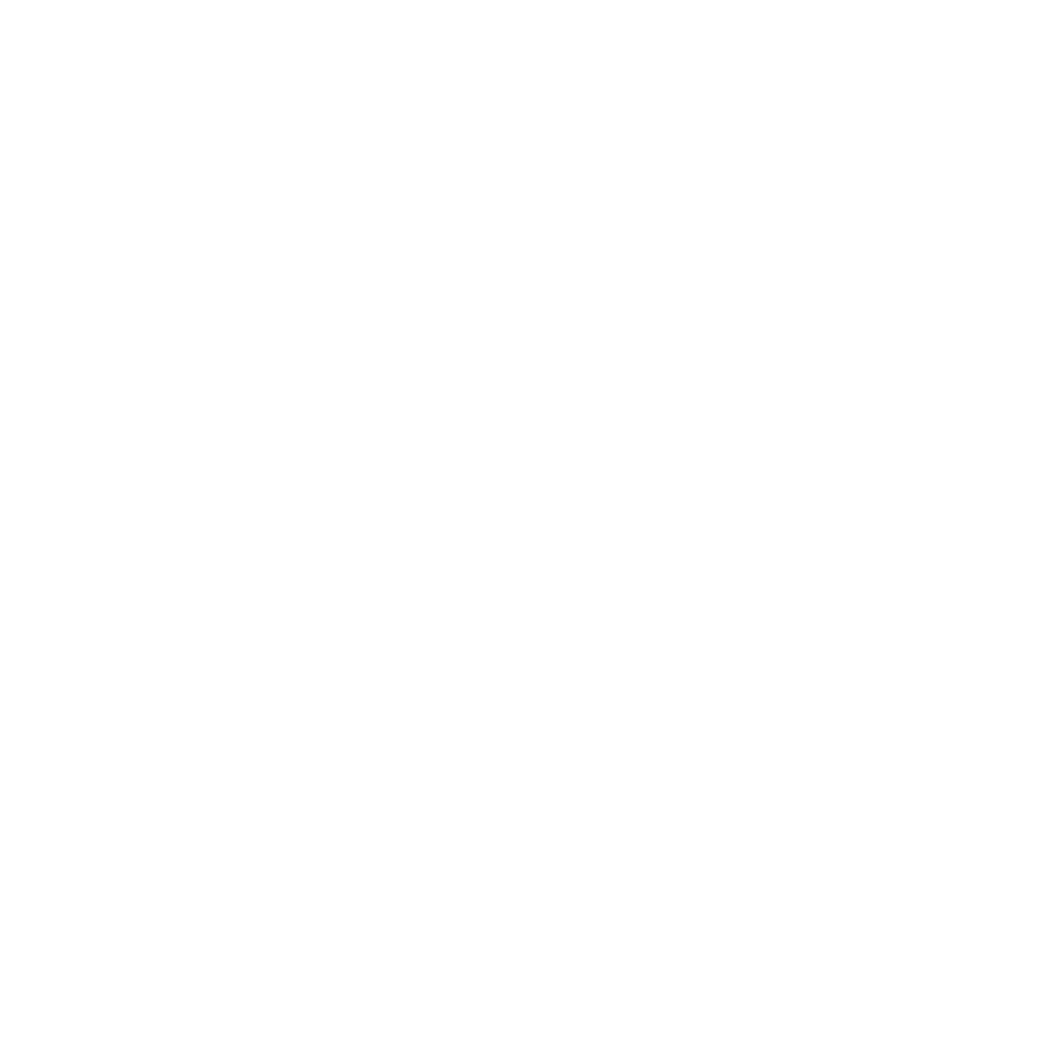 Neuronetics Logo für dunkle Hintergründe (transparentes PNG)