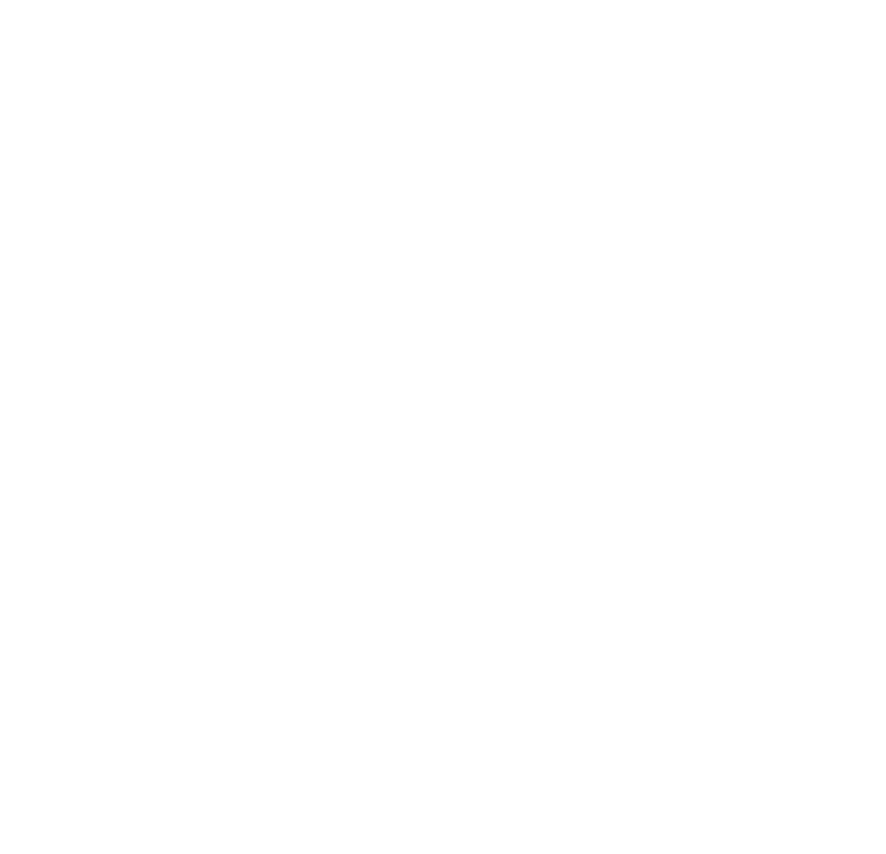 SunOpta logo for dark backgrounds (transparent PNG)