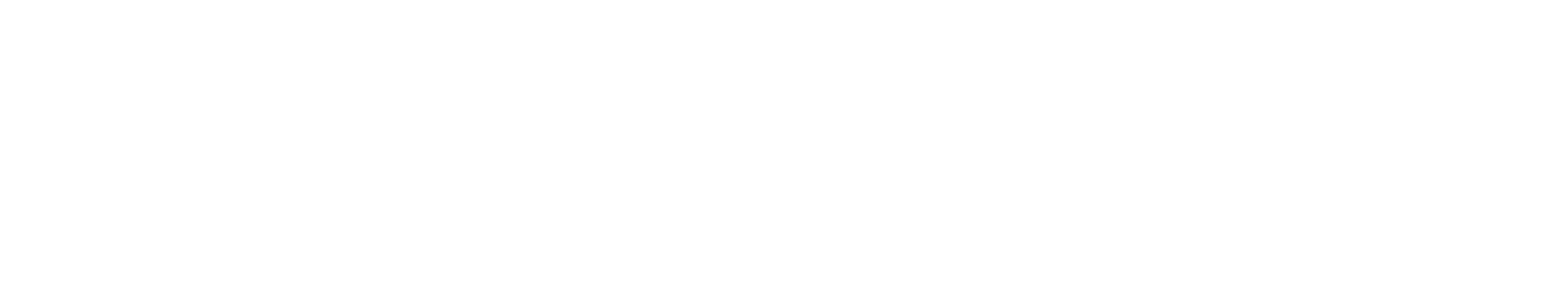 StoneCo Logo groß für dunkle Hintergründe (transparentes PNG)