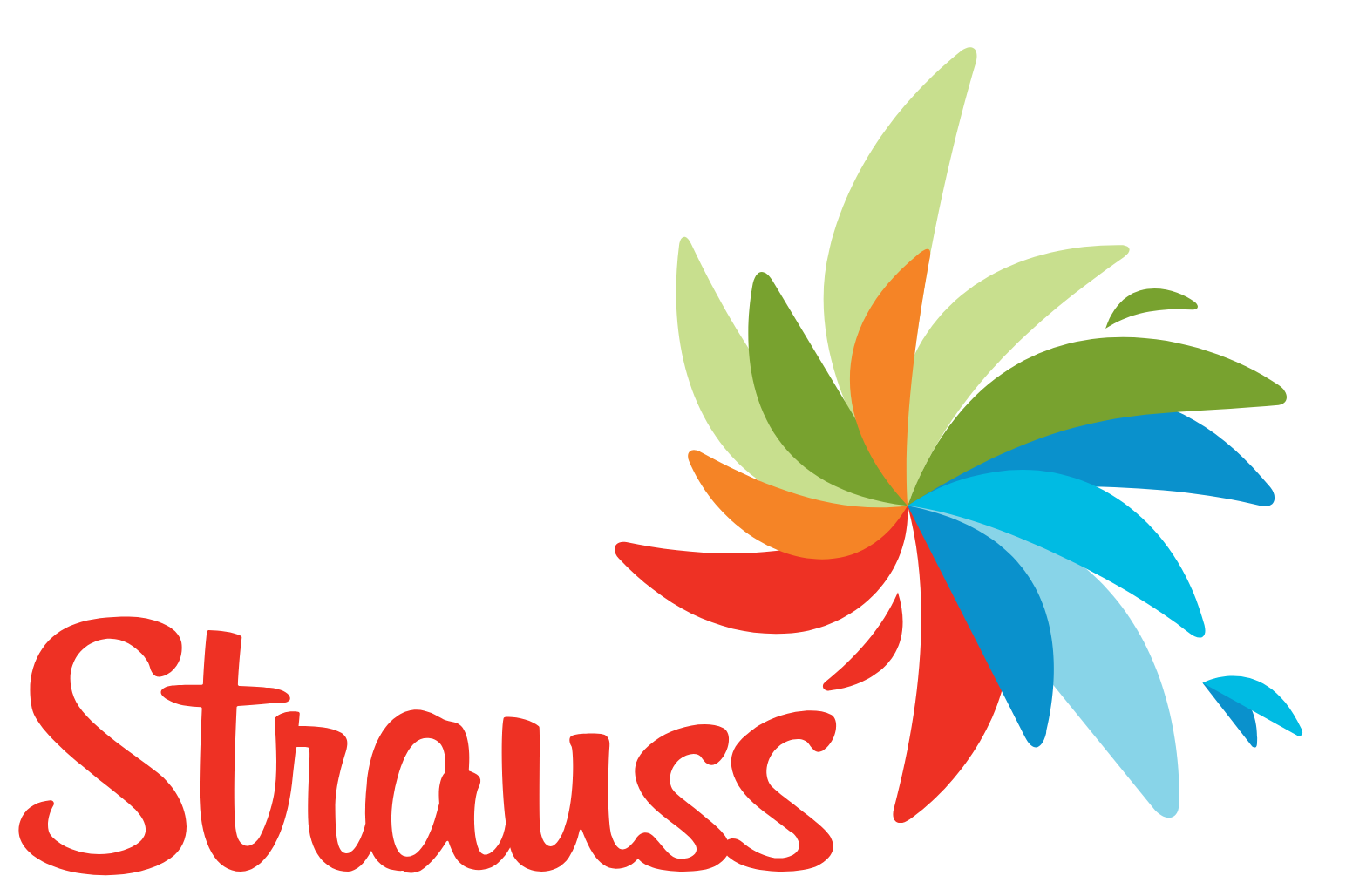 Strauss Group
 logo fulle size on a dark background (transparent PNG)