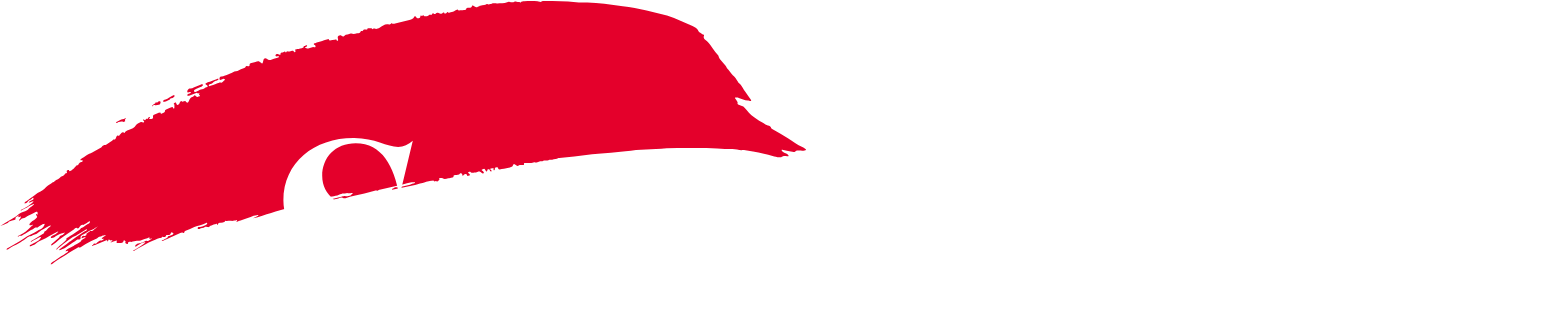 Summerset Holdings
 Logo groß für dunkle Hintergründe (transparentes PNG)