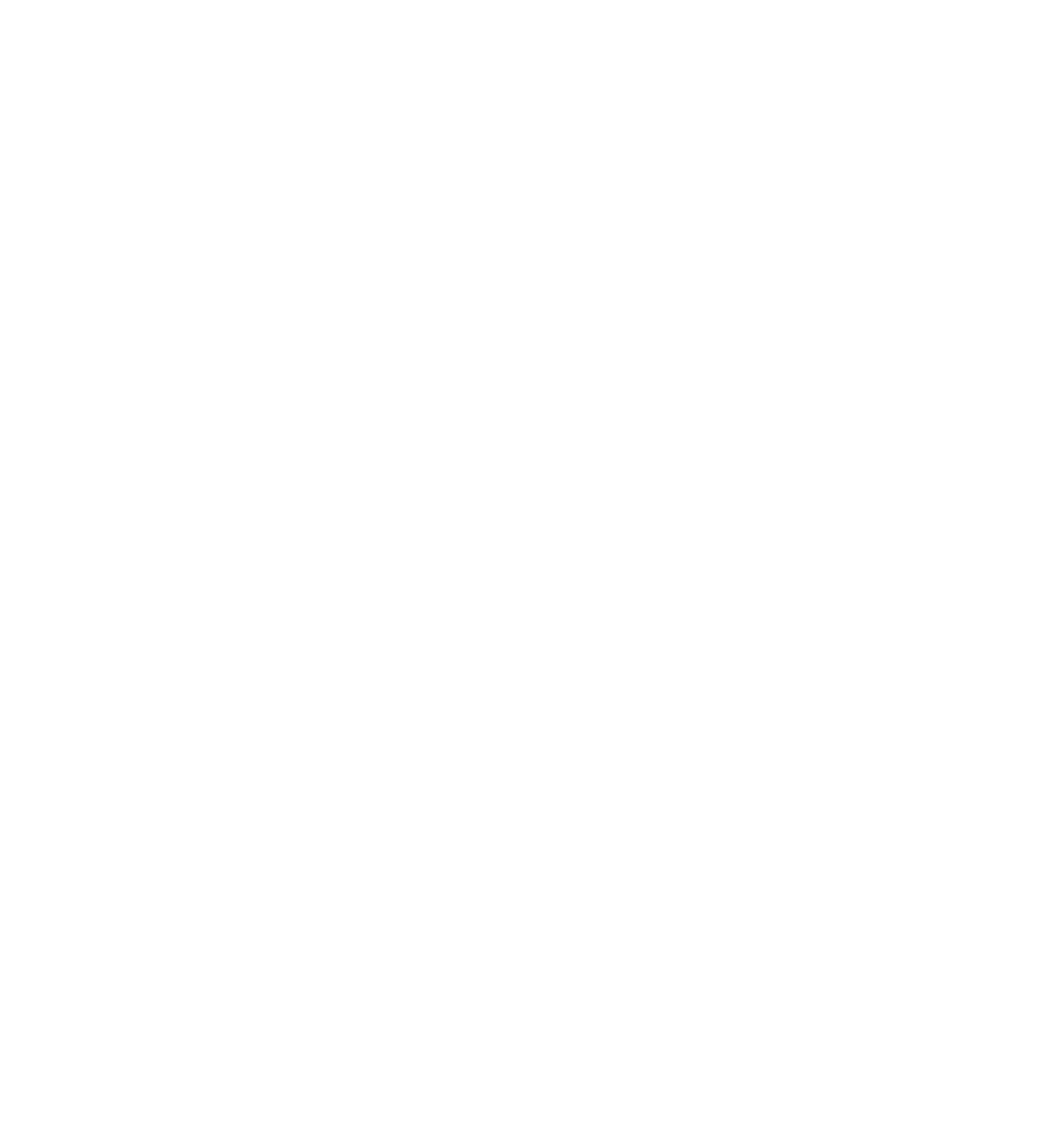 Sulzer logo pour fonds sombres (PNG transparent)