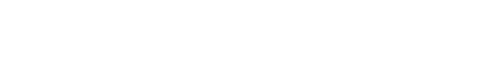 Sulzer Logo groß für dunkle Hintergründe (transparentes PNG)