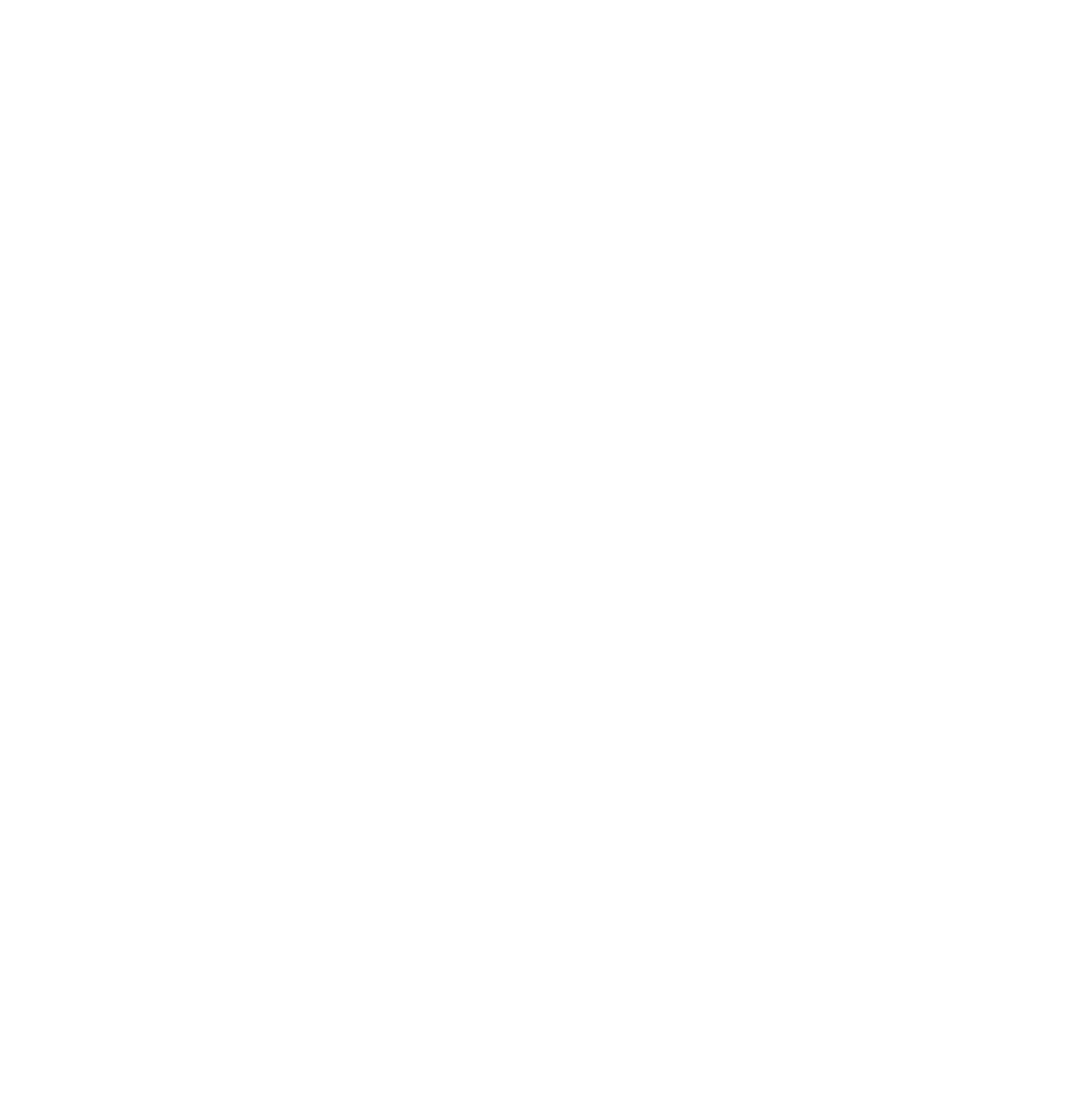 Suprajit Engineering

 logo on a dark background (transparent PNG)