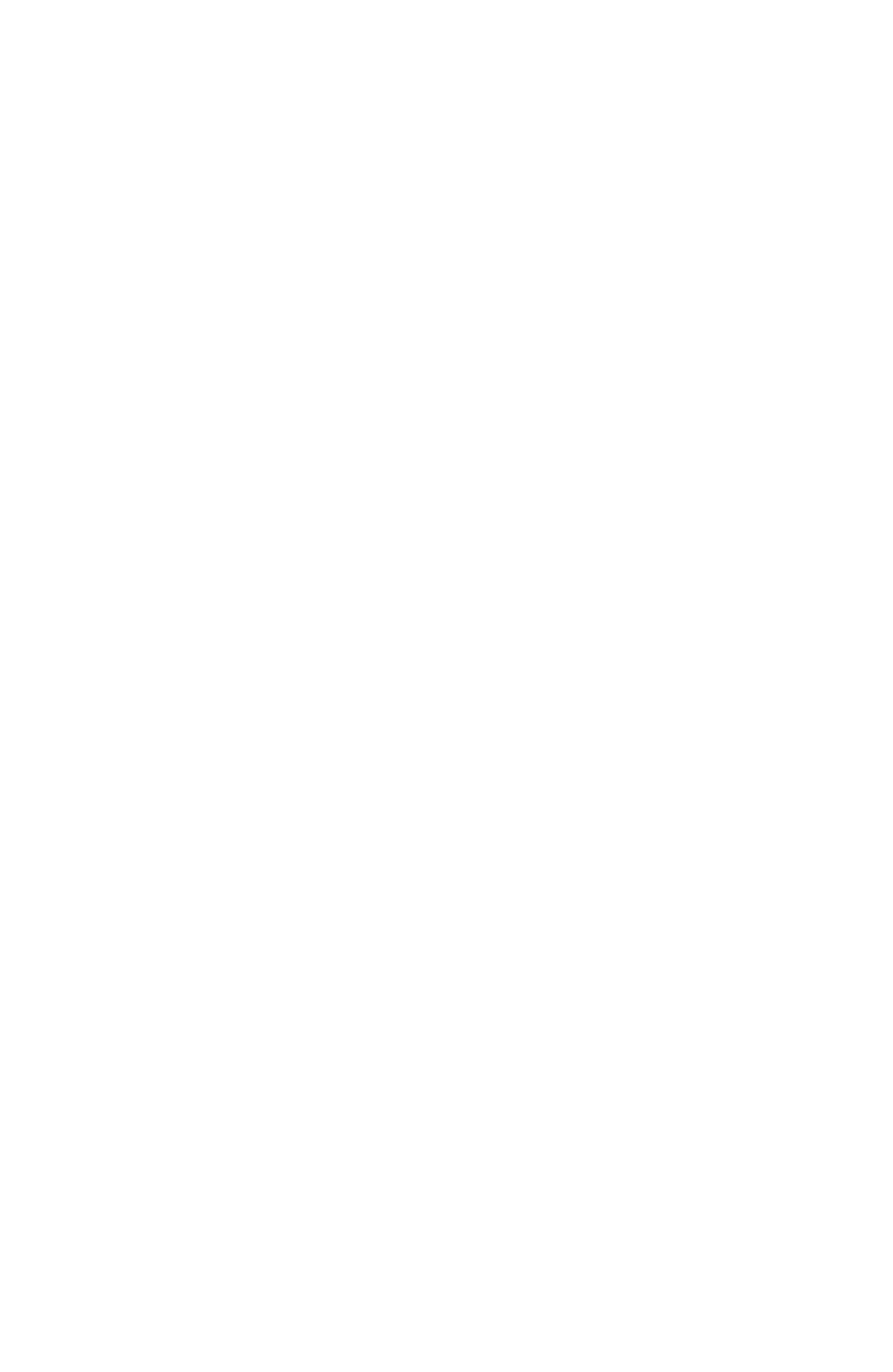 Surteco Group logo pour fonds sombres (PNG transparent)