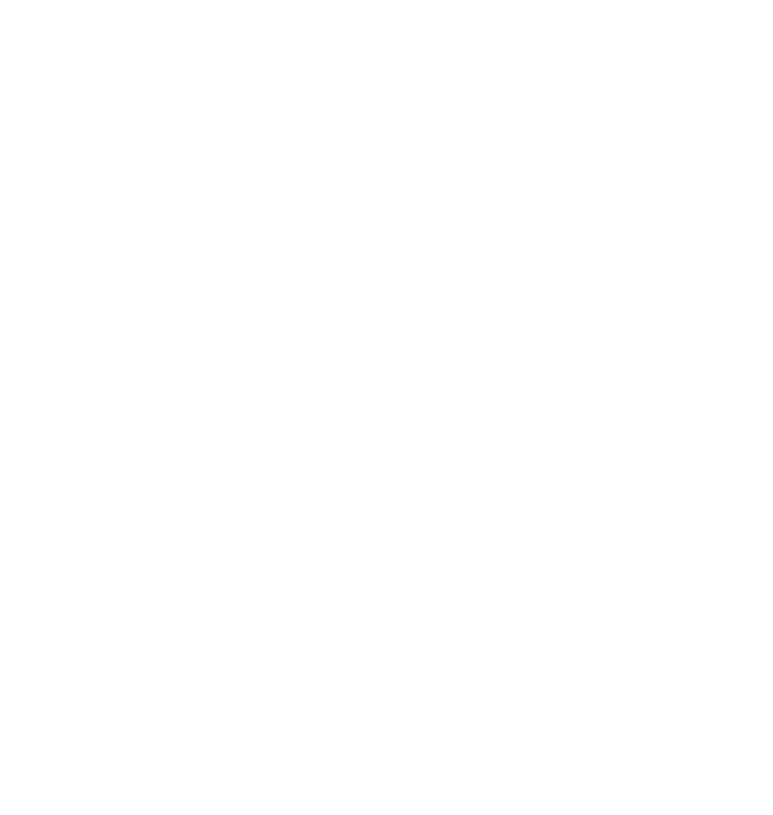 Suzlon logo pour fonds sombres (PNG transparent)