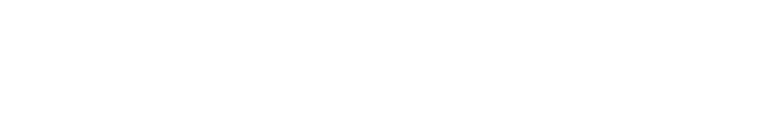 StorageVault Canada Logo groß für dunkle Hintergründe (transparentes PNG)