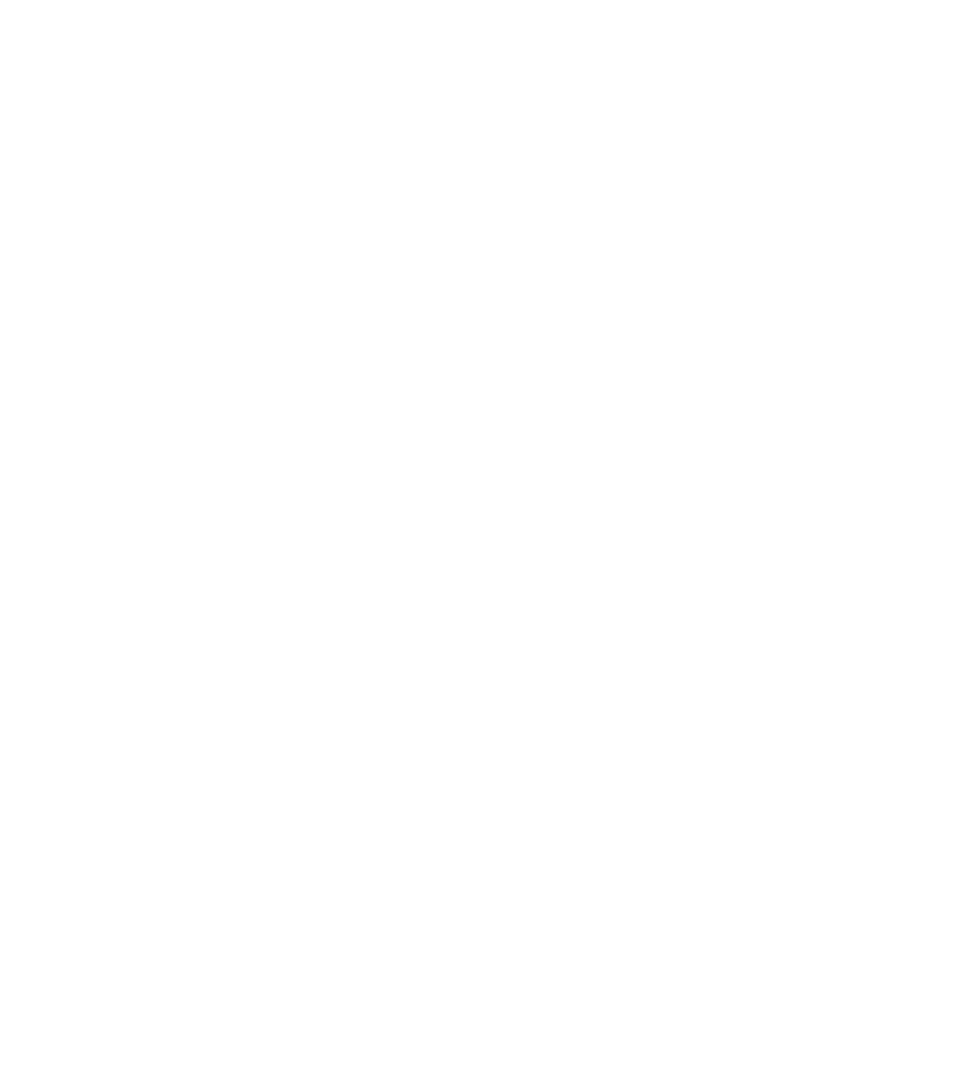 Sweco Logo für dunkle Hintergründe (transparentes PNG)