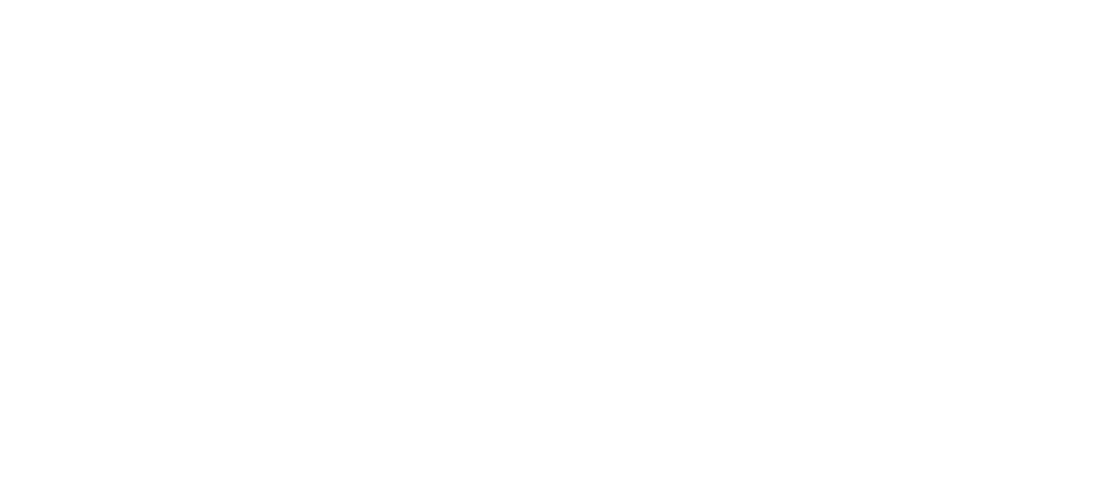 Southwestern Energy
 logo grand pour les fonds sombres (PNG transparent)