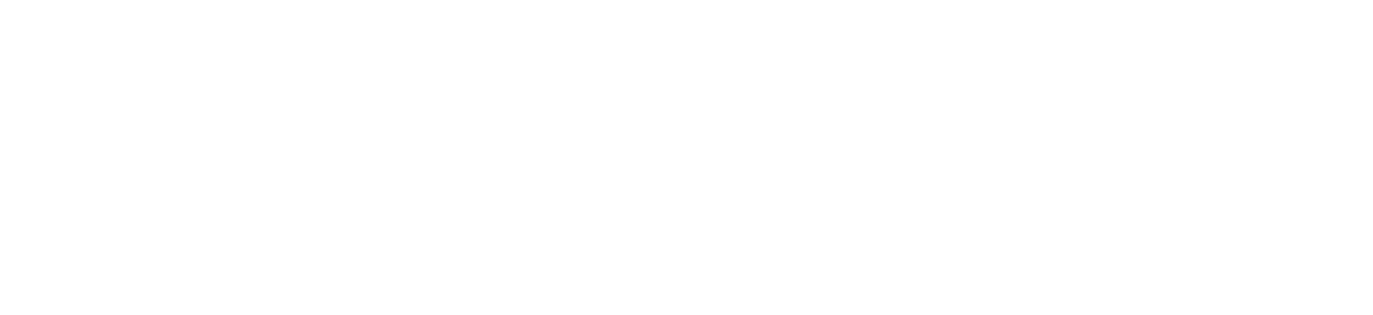 sterling & wilson solar logo grand pour les fonds sombres (PNG transparent)