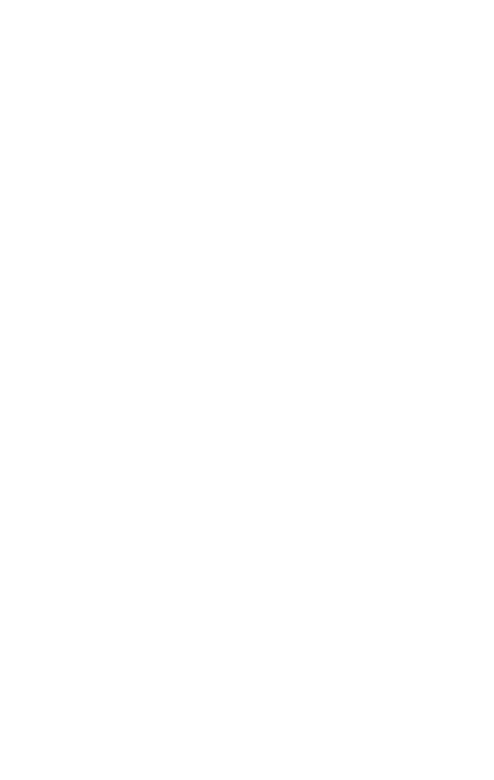 Schweiter Technologies logo for dark backgrounds (transparent PNG)