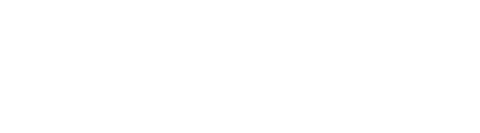 Swvl Holdings Logo groß für dunkle Hintergründe (transparentes PNG)